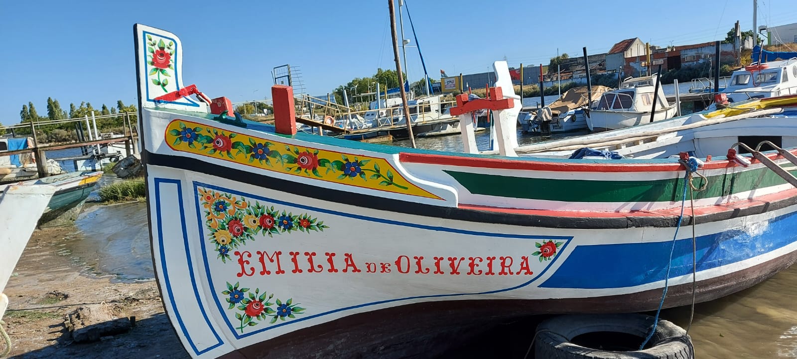emilia_de_oliveira.jpg